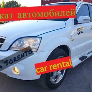 Отель Stal+